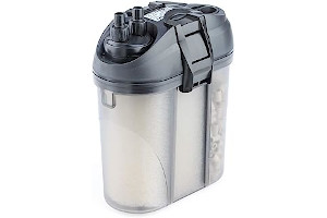 51+2tKwYGML._AC_UL320_