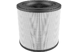 91WZbYNLmvL._AC_UL320_